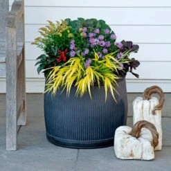 Octoberfest Fall Collection