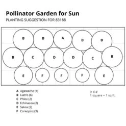 Pollinator Garden For Sun -Olivia Plants Sales x600 37399
