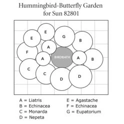 Hummingbird-Butterfly Garden For Sun -Olivia Plants Sales x600 37676