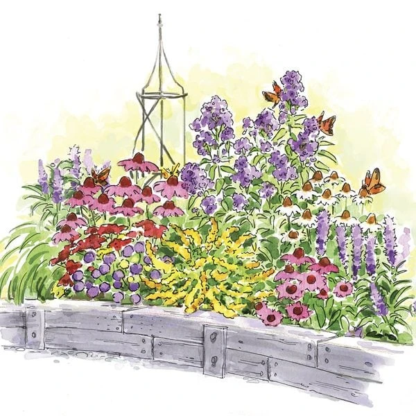 Start A Garden For Butterflies 1 Start A Garden For Butterflies