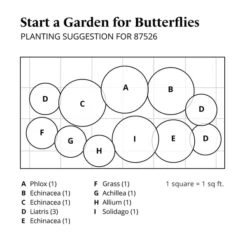 Start A Garden For Butterflies 23 Start A Garden For Butterflies -Olivia Plants Sales x600 37680