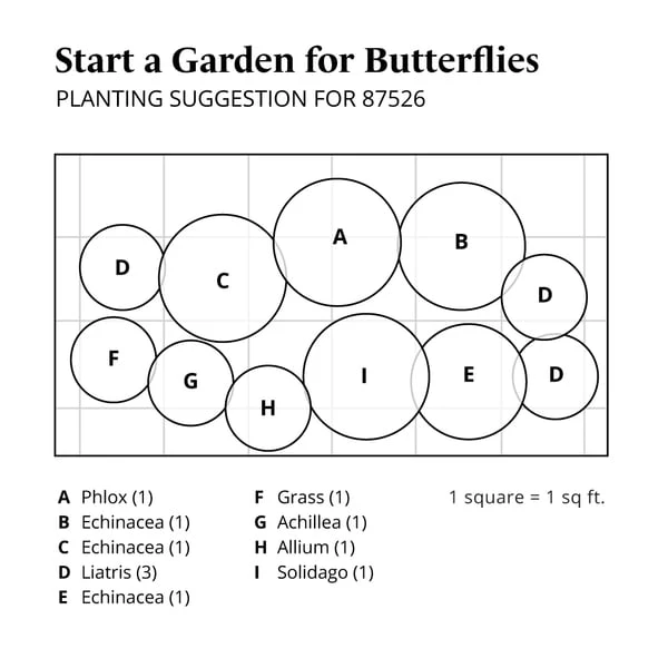 Start A Garden For Butterflies 12 Start A Garden For Butterflies - Image 12