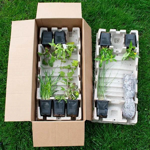 Start A Garden For Butterflies 11 Start A Garden For Butterflies - Image 11