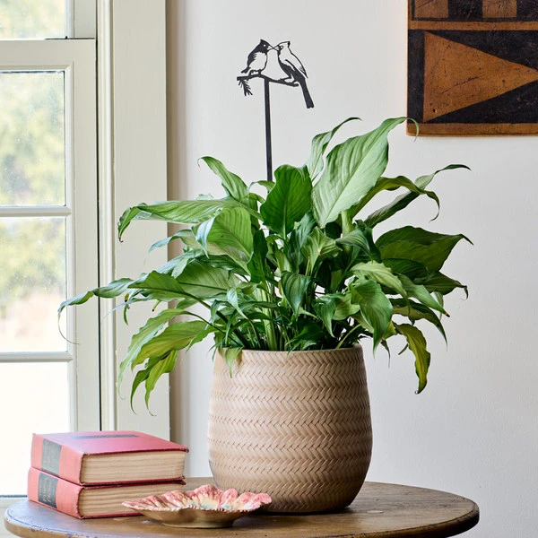 Kissing Cardinals Plant Stake 2 Kissing Cardinals Plant Stake - Image 2