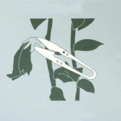 Mini Snips -Olivia Plants Sales x600 38268