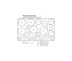 Emerald Isle Hosta Collection -Olivia Plants Sales x600 916